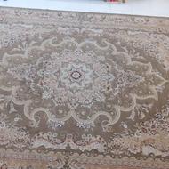 یک تخته فرش 12متری