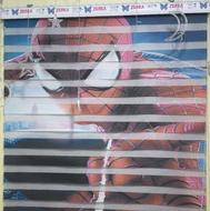 پرده زبرا Zebra طرح مرد عنکبوتی