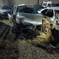 زانتیا نقره ای تصادفی