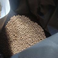 خوراک میگو و ماهی سیباس