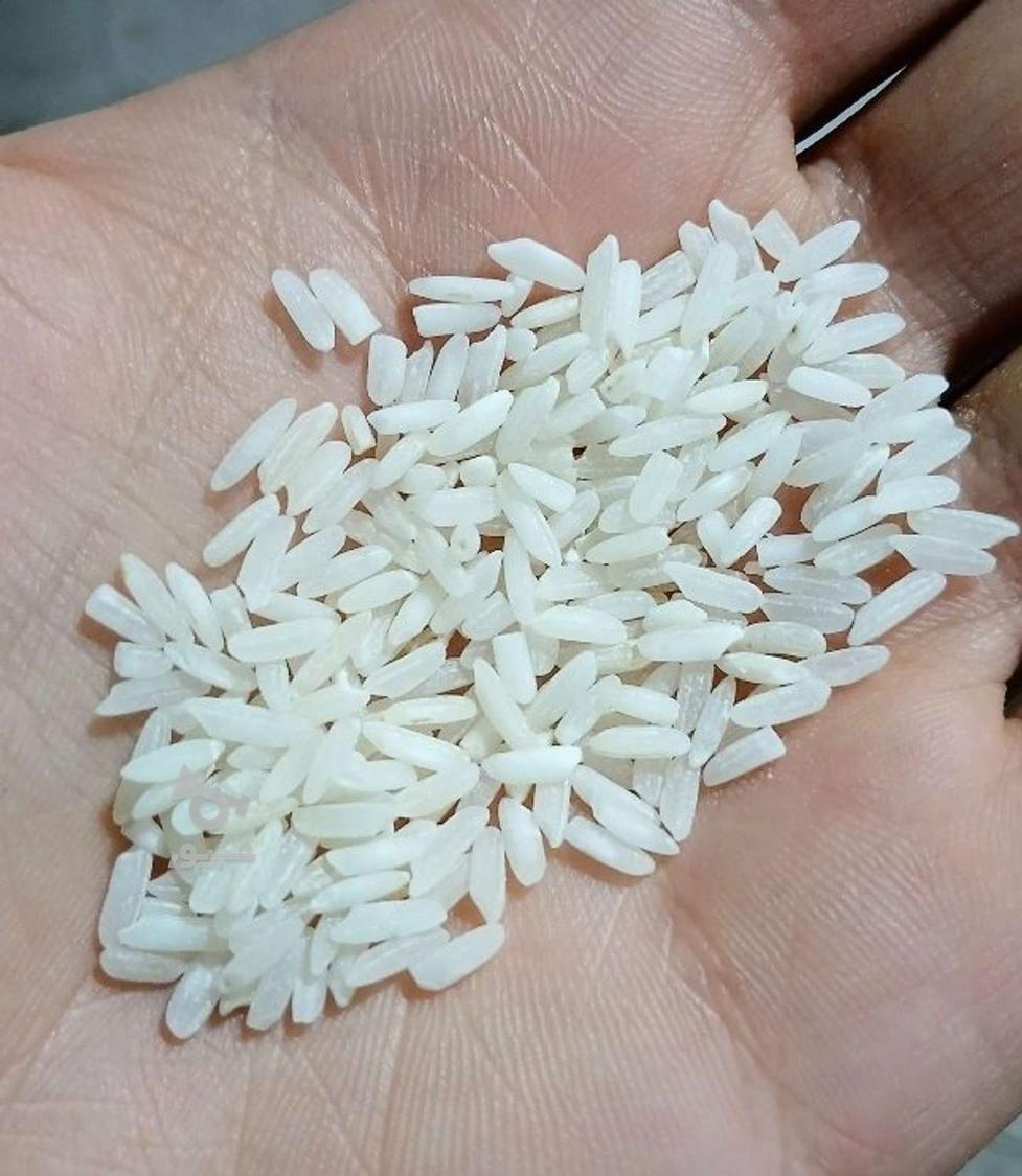 برنج طارم فجر محلی - خوش‌پخت