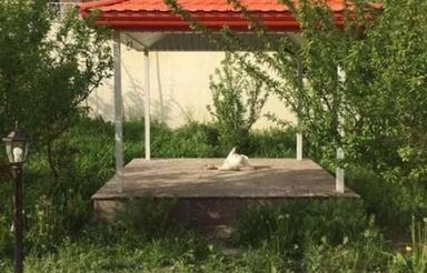 باغ 6500 متری محمودآباد نمونه