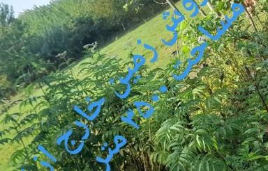 زمین مسکونی 310 متری دور دیوار آب برق گاز پشت دیوار مدارک