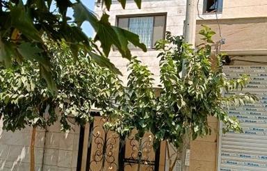 مغازه 30 متری احمدآباد مستوفی