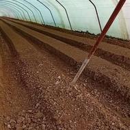 بر پا کردن گلخانه یا سوله جویباری