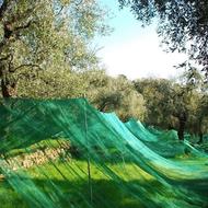 تورهای جمعآوری محصول با بافت مهندسیشده-تور جمع آوری محصول