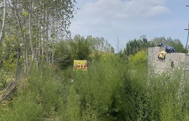 303 متر واقع در عباس اباد نیلوفر 6