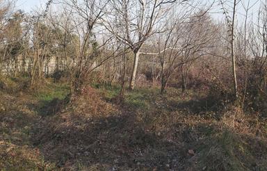 فروش زمین مسکونی 1350 متر در مرکز شهر