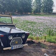 ژیان مهاری پلاک ملی مدل 55