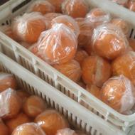 پرتقال تامسون آب درمانی نایلون پیچ