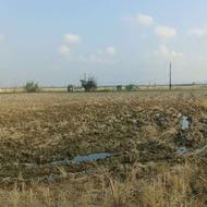 فروش فوری زمین کشاورزی گتاب