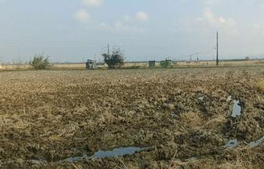 فروش فوری زمین کشاورزی گتاب