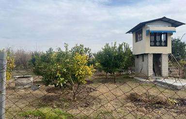 فروش دامداری و کشاورزی 1500 متر در مرکز شهر