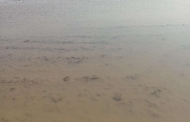 فروش ویژه زمین کشاورزی