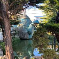 سرآشپز در رستوران آوینا