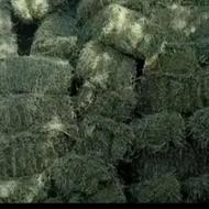 یونجه خشک عالی