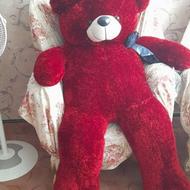 خرس ولنتاین