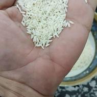 برنج سونامسوری ونیم دانه