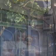 استخدام کاربر خانم