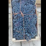 آب انگور طبیعی