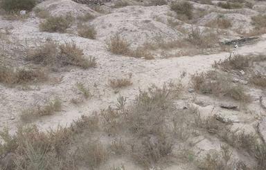 زمین 200متری