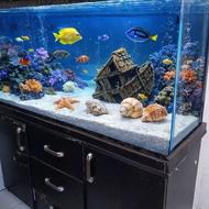 آکواریوم کمددار