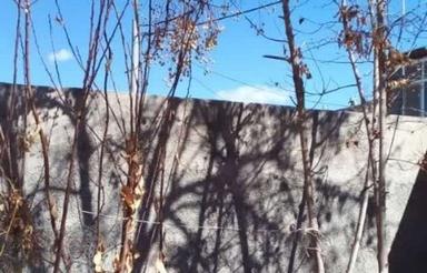 سلام یک منزل مسکونی واقع در الا آباد لنجان اصفهان