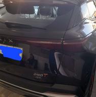 فونیکس پرمیوم خشک1404