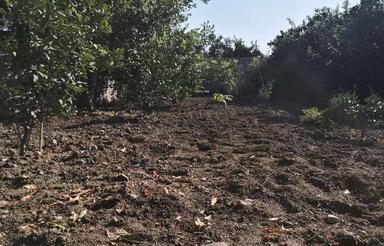 زمین مسکونی در سیاهکلامحله شرقی