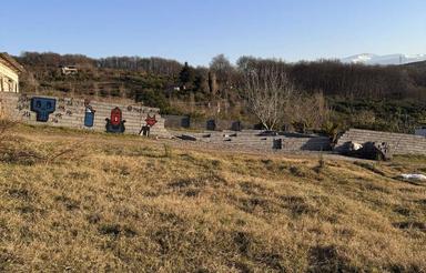 زمین جنگلی داخل بافت زرد