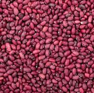 لوبیاقرمز امسال