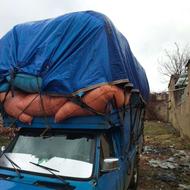 فروش کاه خرمن کوب