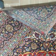 قالی 12متری کاشان ، قالی 12متری مشهد