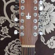 گیتار 12 سیم cort , zinn