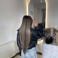 جذب مدل کار توسط استاد