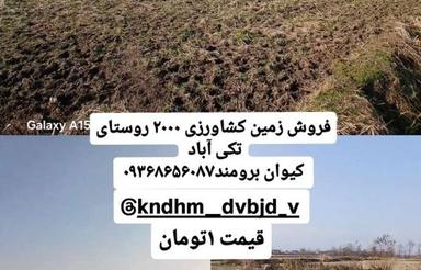 فروش 2000 متر زمین کشاورزی