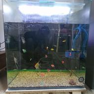 اکواریوم شیشه خم