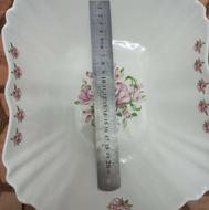 ظرف پذیرایی