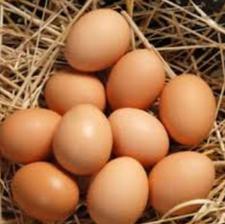 تخم مرغ محلی