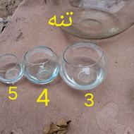 تنگ وشیشه ماهی