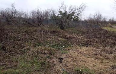 8000 متر زمین با 1700 متر مسکونی سند دار