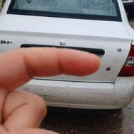 تیبا 95 تک برگ سند