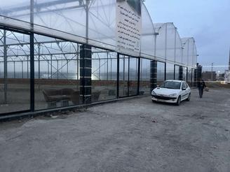 سالن گلخانه برای فروش گل و درخت زینتی