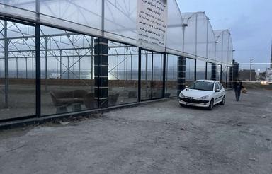 سالن گلخانه برای فروش گل و درخت زینتی