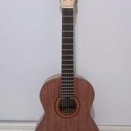 گیتار نو سالم (دست نخورده)