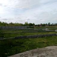 250 متر در بحر خیابان اصلی روفچاه 