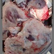 گوشت گوسفند وبره همه روزه از فردا