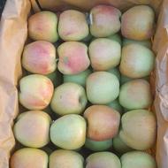 سیب ممتاز مراغه