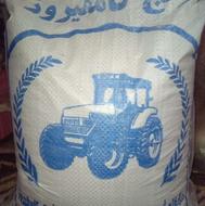 برنج محلی کامفیروزی