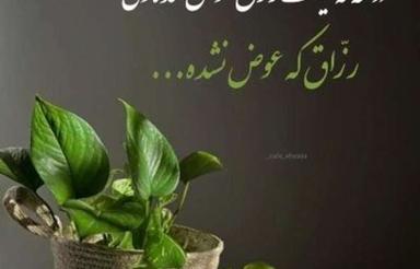 وام روی سند ملک